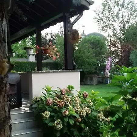 Koza Sapanca