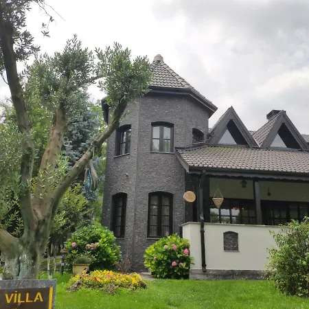 Koza Sapanca
